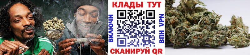 Купить наркотик аптеки Кедровый А ПВП  Конопля  МЕФ  Псилоцибиновые грибы  ГАШ  АМФЕТАМИН 